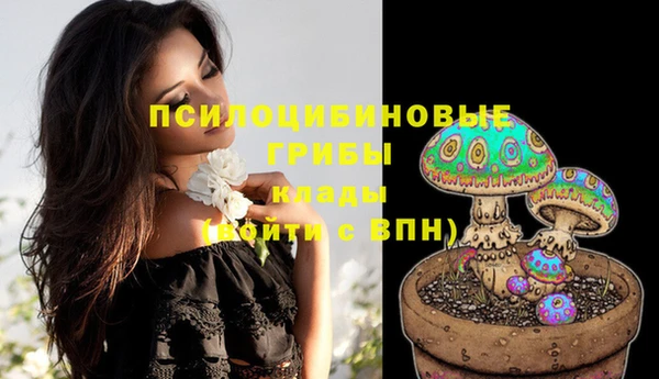 марки nbome Арсеньев