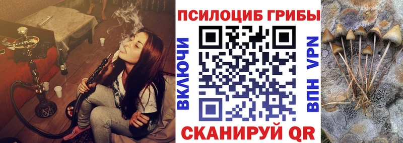 Псилоцибиновые грибы Psilocybe Миасс